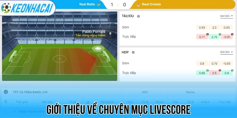 Livescore – Trực Tuyến Bóng Đá 247 Chi Tiết Và Chính Xác 57 Giới thiệu về chuyên mục livescore
